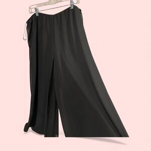 Cute Alex Evenings super wide leg chiffon elegant elastic waist pull on pants